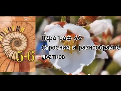 Биология 6 класс  (Пасечник) аудио Параграф 46 «Строение и разнообразие цветков»