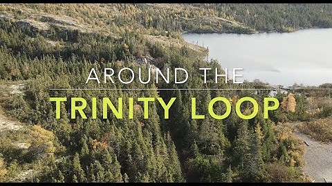 In Our Backyard: Trinity Loop, Trinity NL Fall 2022