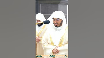 والشمس وضحاها ~ تلاوة آسرة للشيخ ياسر الدوسري - صلاة العشاء 11 رمضان 1445هـ