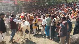 Ma kushmanda mandir ghatampur Plz share & subscribe