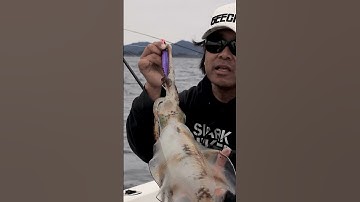 【ティップラン】ティップラン撮影の裏側