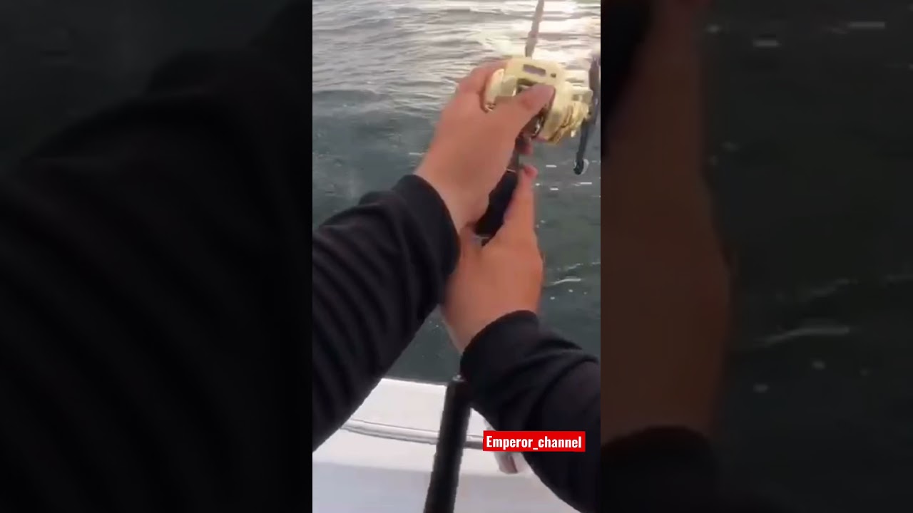 バカデカい 下津井沖タイラバ Youtube