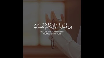 وَأَنِيبُوا إِلَىٰ رَبِّكُمْ وَأَسْلِمُوا لَهُ مِن قَبْلِ أَنْ يَأْتِيَكُمُ الْعَذَابُ - سورة الزمر