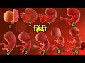 1 to 9 months baby development in hindi,1 to 9 months pregnant baby size in hindi,1 to 9 months baby