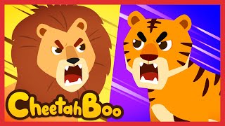 🦁 Lion and Tiger 🐯 | Who is stronger❓❗ | learn animals | baby song | lion 🆚 tiger | #cheetahboo