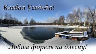 Клевая Усадьба! Ловим форель на блесну по открытой воде. Классной и очень уютный платный водоем.