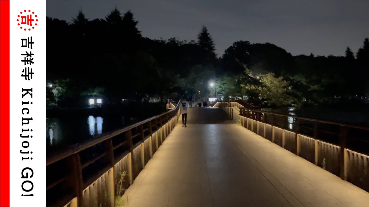 夜の井の頭恩賜公園を散歩 東京ドーム約9個分の緑が広がる憩いの森 夜は七井橋がライトアップされてロマンチックな雰囲気に Youtube