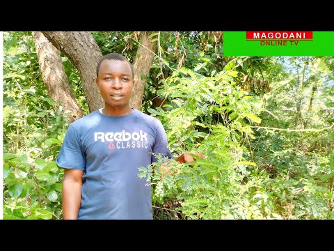 DAWA NZURI SANA YA MVUTO WA MAPENZI ZENYE KULETA KWA HARAKA MNO