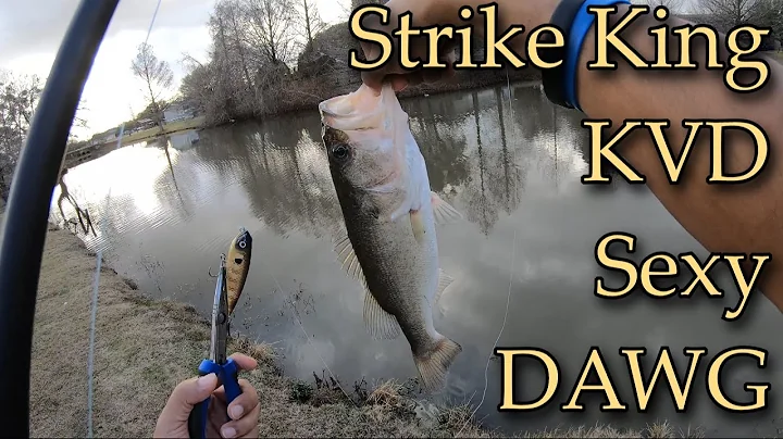 Strike King KVD Sexy Dawg Top Water Blowups!