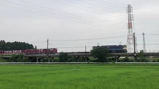 【鉄道】EF65 2074牽引の貨物列車 信号待ちからの発車