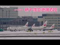 【吹雪の向こうにファンタジア！】新千歳空港(CTS) archive 2021/02/6 Sapporo New Chitose Airport Takeoff and Landing