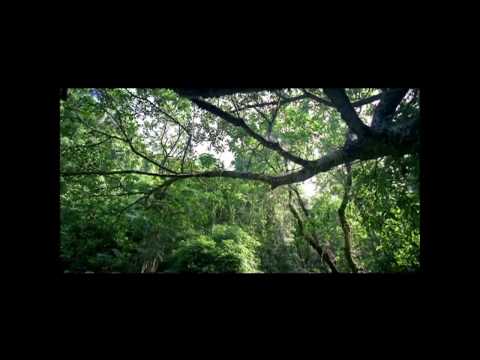 「綠色香港我鍾意」宣傳片 - 綠色生活自然篇 (HD)