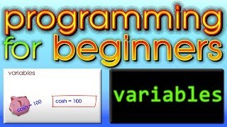 Celebrity Programming For Beginners - Variables Wealth