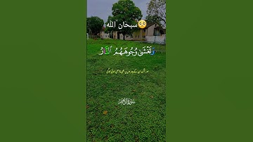 تلاوة خاشعة اسمع وارح قلبك وشاركة ومتابعة لعل يتوب غيرك🥺❤️👍🌹☝️