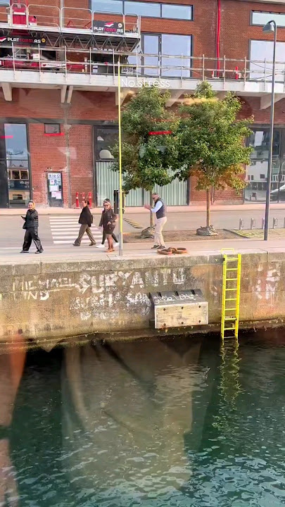 Living his best life! 🕺🔥 #ravers #90srave #oldschool #housemusic #technomusic #rave #dancing #techno