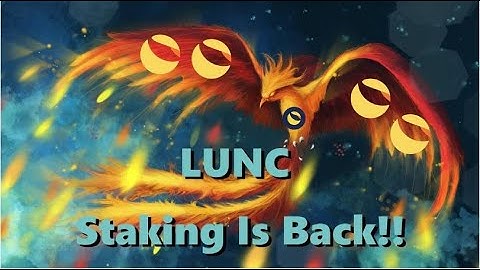 🔥 𝐖𝐎𝐖! 𝐓𝐡𝐢𝐬 𝐕𝐢𝐝𝐞𝐨 𝐇𝐚𝐬 1645 𝐯𝐢𝐞𝐰𝐬 𝐇𝐨𝐰 𝐭𝐨 𝐒𝐓𝐀𝐊𝐄 𝐋𝐮𝐧𝐚 𝐂𝐥𝐚𝐬𝐬𝐢𝐜 𝐖𝐈𝐓𝐇 𝐋𝐞𝐝𝐠𝐞𝐫