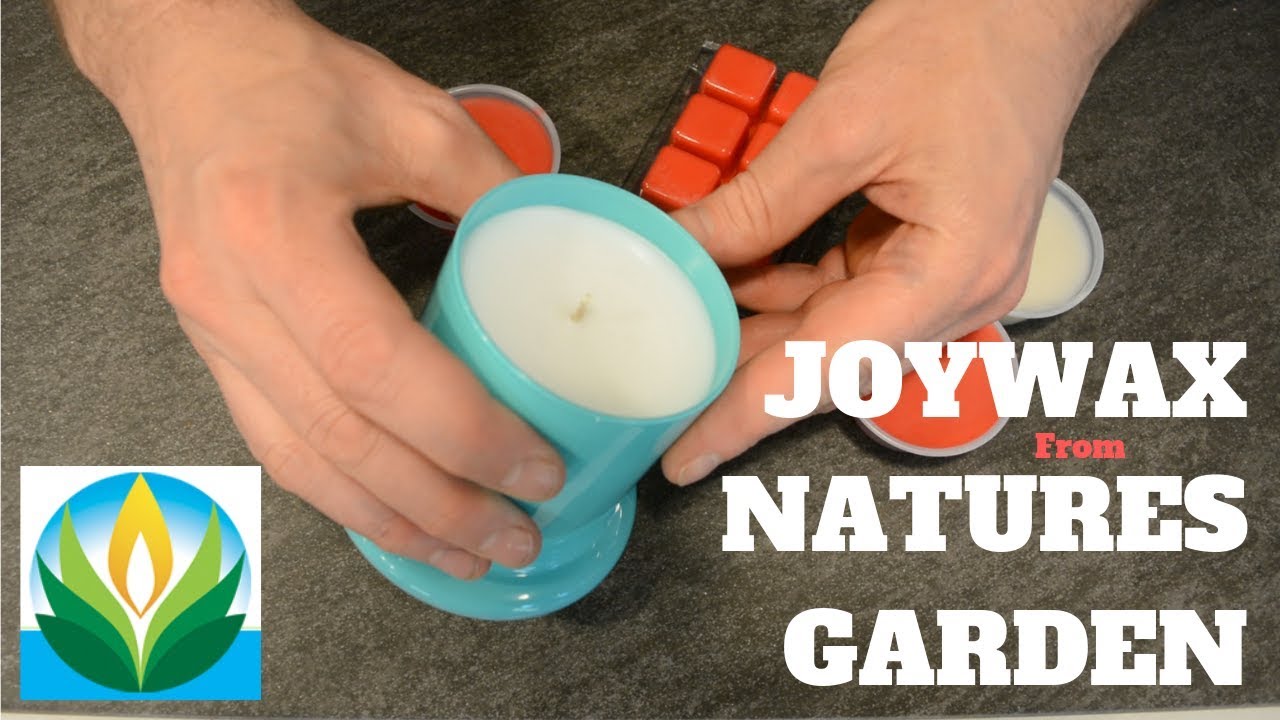 Testing And Reviewing Joywax From Nature S Garden Youtube