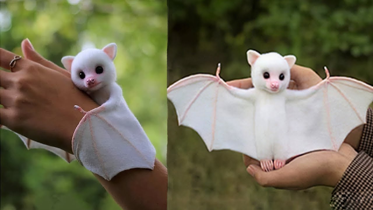 7 Animales Exoticos Que Podrias Tener De Mascota YouTube 7-animales-exoticos-que-podrias-tener-de-mascota-youtube