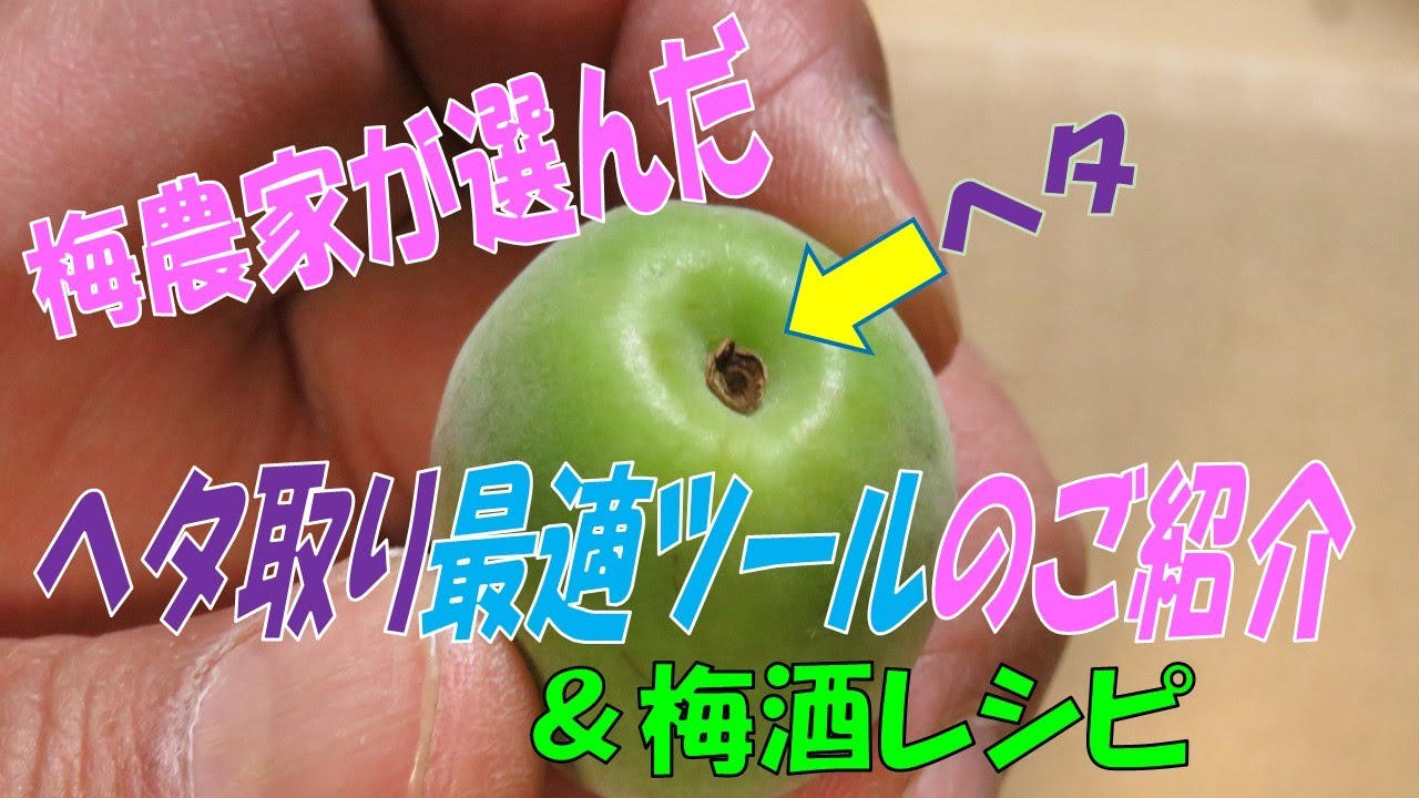 梅 ヘタ 取り