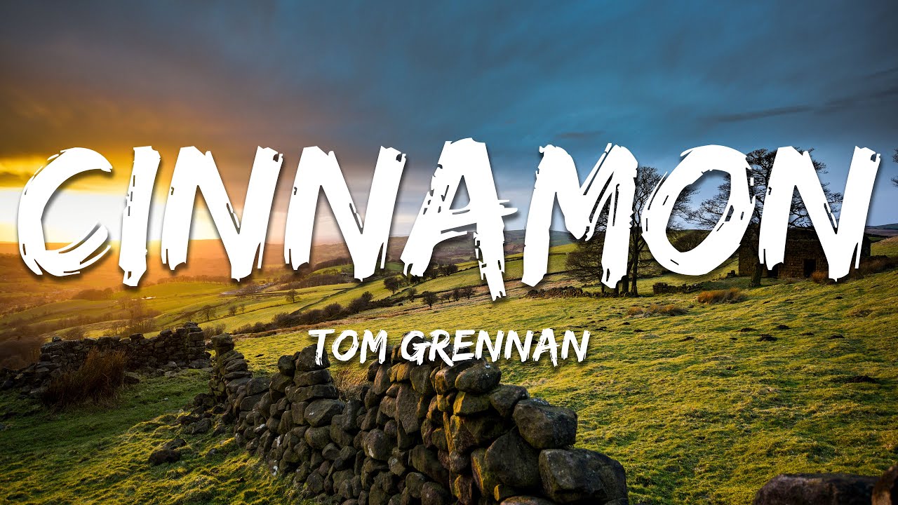Tom Grennan - Cinnamon (Lyrics)