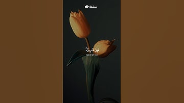 وَإِذَا سَأَلَكَ عِبَادِي عَنِّي فَإِنِّي قَرِيبٌ || تلاوة الشيخ مشاري العفاسي