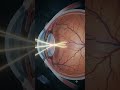 human eye 👁️#HumanEye #Vision #ScienceFacts #Biology #HumanBody #MedicalAnimation #HealthFacts