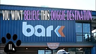 Bar K Dog Bar Review | Bar K Dog Park | Best Dog Park in KC |