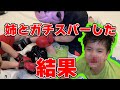 【姉弟喧嘩】姉とガチスパーしてみた結果…【ガチ喧嘩】