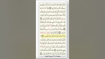 الصفحة الواحدة والعشرون 21 من القرآن الكريم بصوت الشيخ ميثم التمار