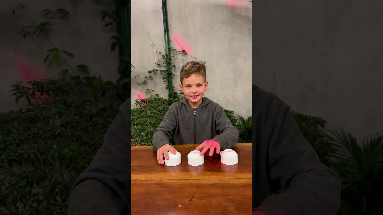 Cub mixes the cups - Can you pick the right cup? 