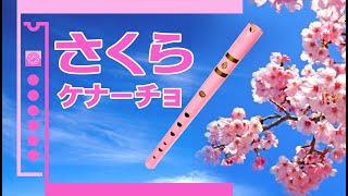 新作】春限定の桜カラー！こだわりの手作りケナーチョ D管 - YouTube