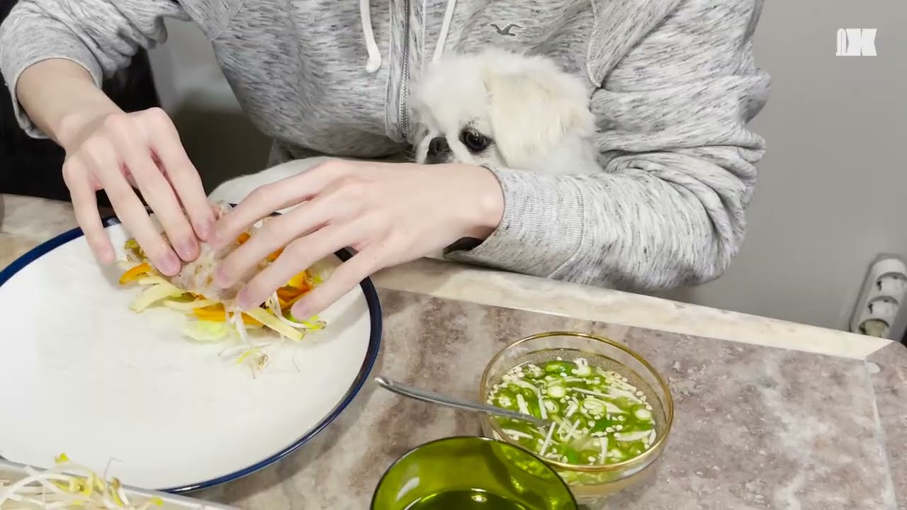 OMEGA X (오메가엑스) Vlog 👀