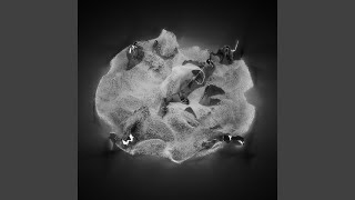 Favoriet aller tijden