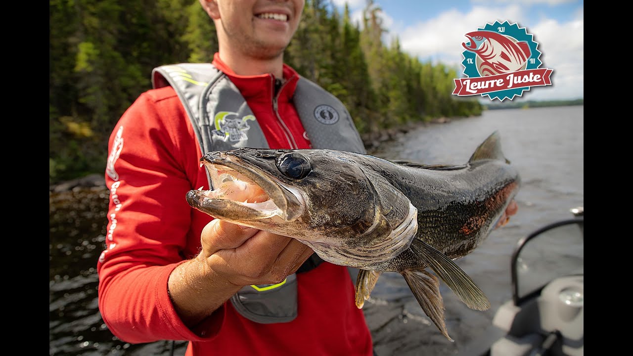 Leurre Juste S05E02 - Doré : quand accessibilité rime avec qualité de pêche