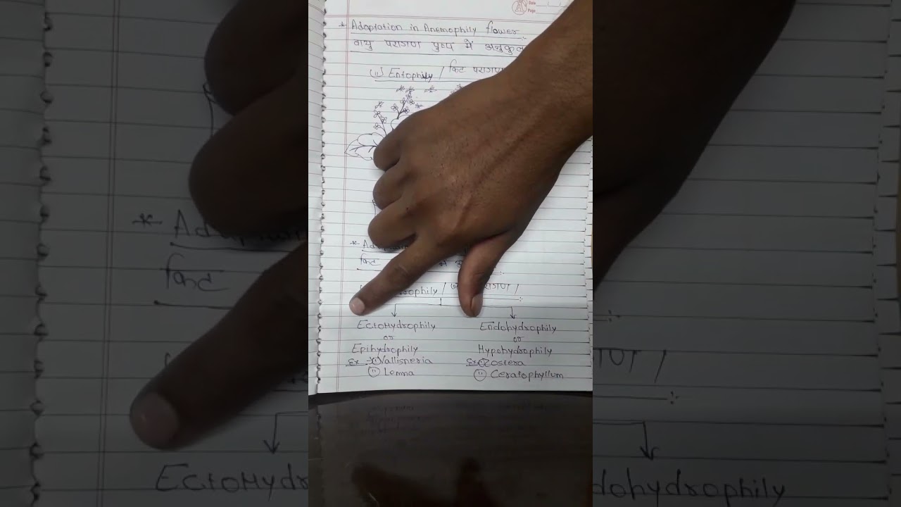 pollination in plants by photo biology. study of pollination by photo biology