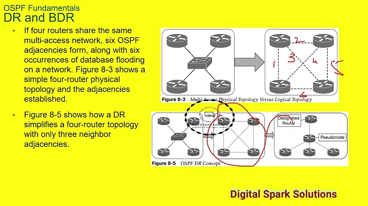 OSPF theory basics