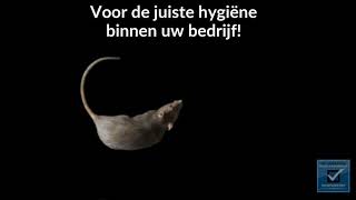 Ongedierte Bestrijding