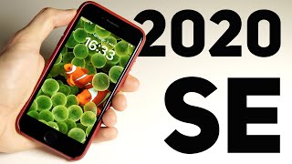 iPhone SE 2020 - ПОПУЛЯРНЫЙ* в 2024 году