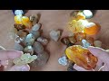 The Agate MOTHERLODE! | What Did I Find?