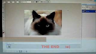 PhotoImpact 12-Tutorial 3.1 (make an eye wink)