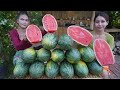 Yummy cooking fresh watermelon juice recipe  natural life tv