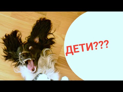 Видео: У Рони появились дети ? #Shorts