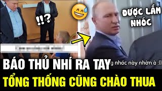 Hội BÁO THỦ NHÍ trổ tài 'BÁO QUÁ BÁO' khiến cả tổng thống cũng phải ngỡ ngàng CHÀO THUA | TÁM TV