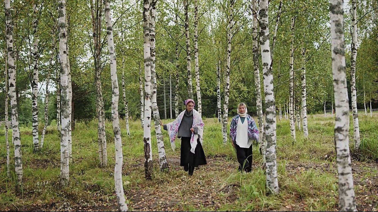 Peacefully in the spring aspen forest. /Poetry Of Slow Life/ - YouTube