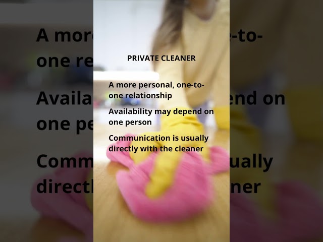 PRIVATE CLEANER VS CLEANING COMPANY (Which Is Right For Your Home?) #shorts
