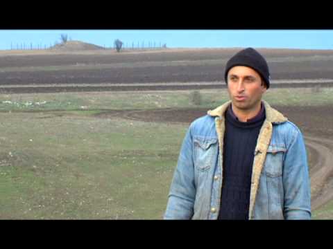 დვანის საზღვარი