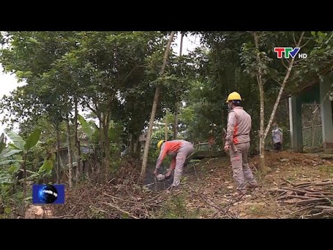Video Bản tin thời sự tối 19/4/2020 | PTTH Thanh Hóa - youtube