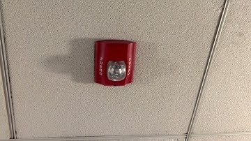 SystemSensor SpectrAlert Advanced & Notifier BG12LX