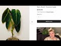 Go Rare House Plant Shopping With Me ONLINE! Etsy + Ebay Rare Plant Tour! WHAT YOU SHOULDN'T BUY!!!!