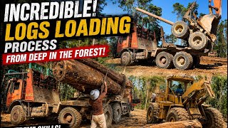 The Most Incredible Heavy Equipment Operators in the Deep Jungle | Extreme Logging You Must See